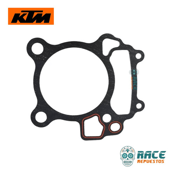 Empaquetadura De Cilindro Ktm Duke 250 Gen3 Original Nueva 5