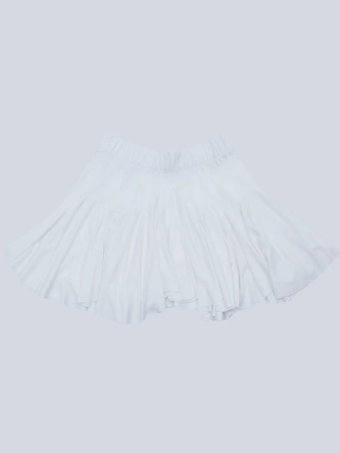 Falda Flare 2