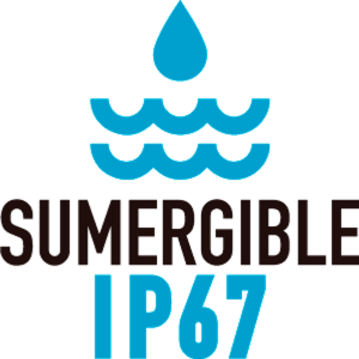 ICOM IC-F1100DS VHF 136–174 MHz 128CH NXDN y Analogico 5W Radio pórtatil digital y analogico con teclado standard Precio con iva incluido 6