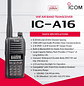 ICOM IC-A16 (Standard version, Sin Bluetooth) 200CH Memoria 6W Radio tierra-aire de 8,33/25 kHz Audio 1500 mW, IP67, MIL-STD-810-G, NOAA Alert Precio con iva incluido - Miniatura 1