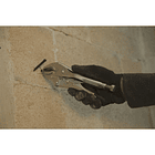 Caimán Boca Curva 10