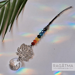  7 Chakras SOL  🌞✨