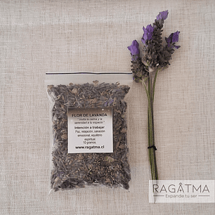 FLOR DE LAVANDA