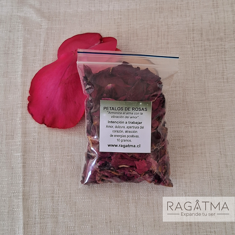 PÉTALOS DE ROSA  1