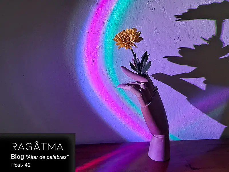 LA FLOR ESTABA EN CASA: Lo que aprendí de Ángel, la niña de las flores