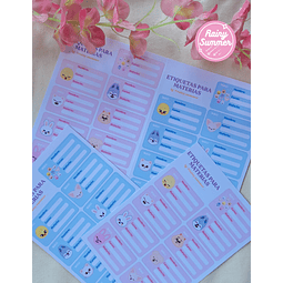 STRAY KIDS - ETIQUETAS ESCOLARES SKZOO