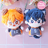 HAIKYUU - PELUCHES HINATA SHOYO & KAGEYAMA TOBIO