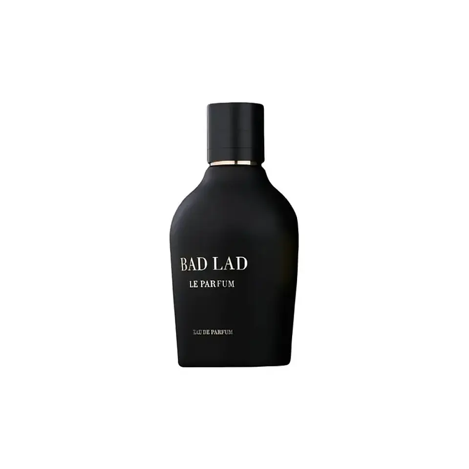 Fragrance World Bad Lad Pour Homme EDP 100 ML Hombre 2
