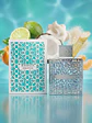 Rayhaan Aquatica EDP 100 ML Hombre - Miniatura 3