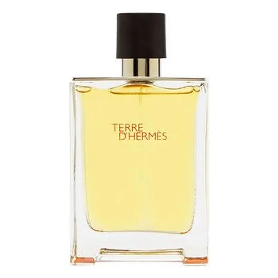 Hermes Terre D'Hermes EDT 100 ML Hombre 2