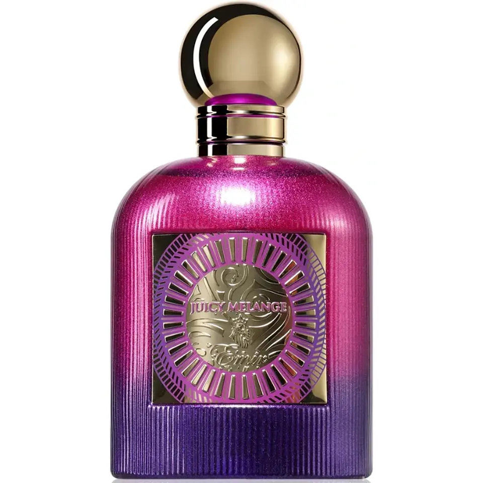Paris Corner Juicy Melange Emir EDP 100 ML Unisex 2