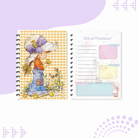 AGENDA SARAH KEY COLORIDA