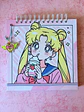 AGENDA SAILOR MOON HELADO - Miniatura 1