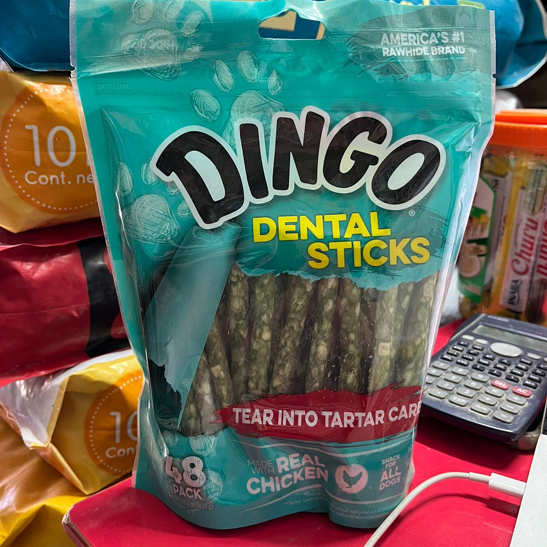 DINGO DENTAL 48UNID 1