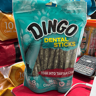 DINGO DENTAL 48UNID