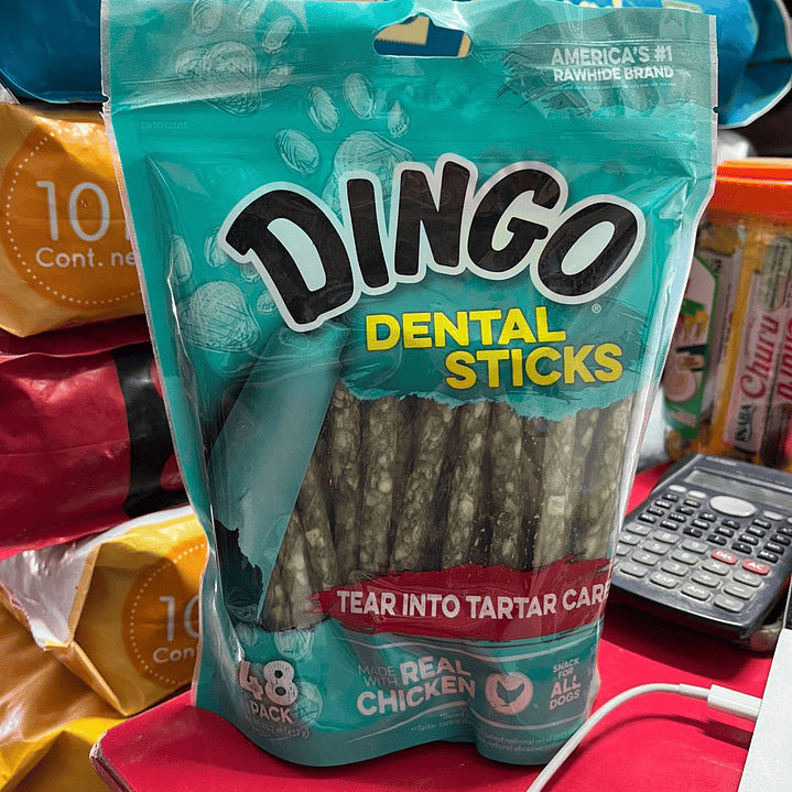 DINGO DENTAL 48UNID 1