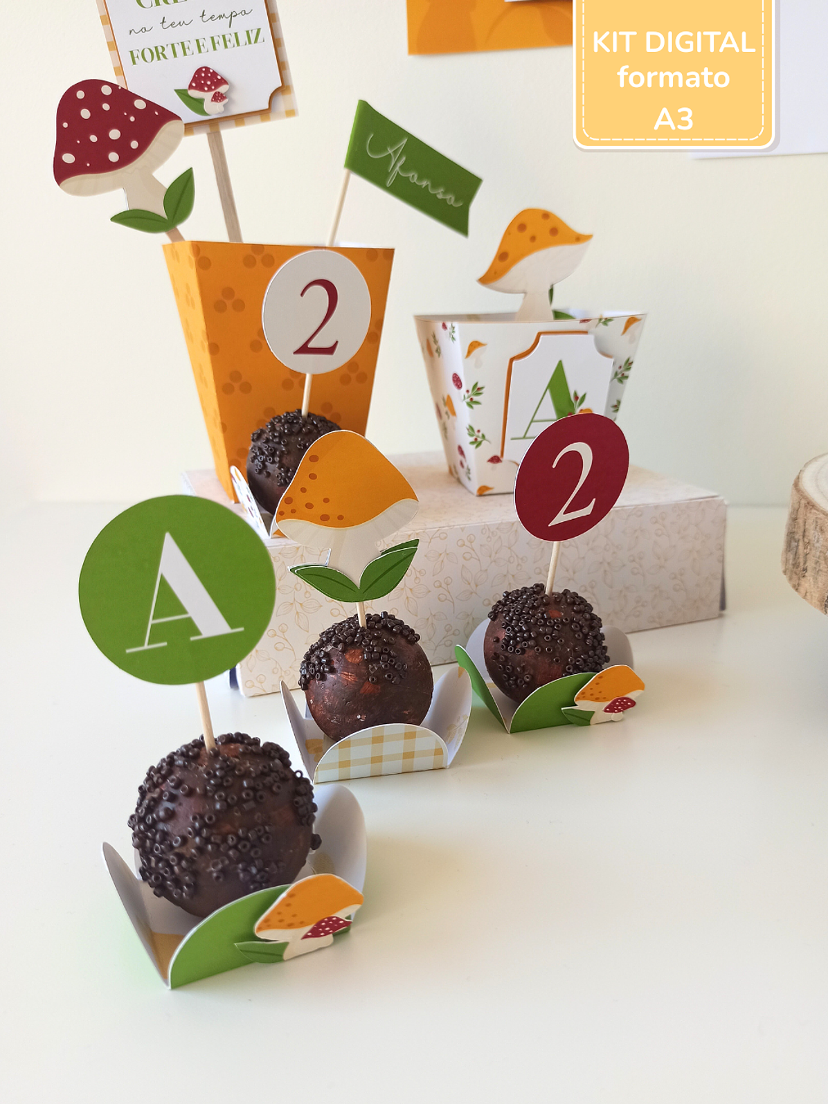  Kit Digital A3 - Cogumelos 6