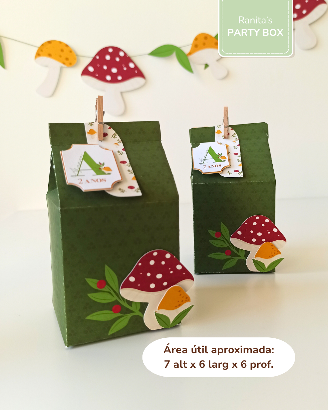 Caixa Milk - Festa Cogumelos 2