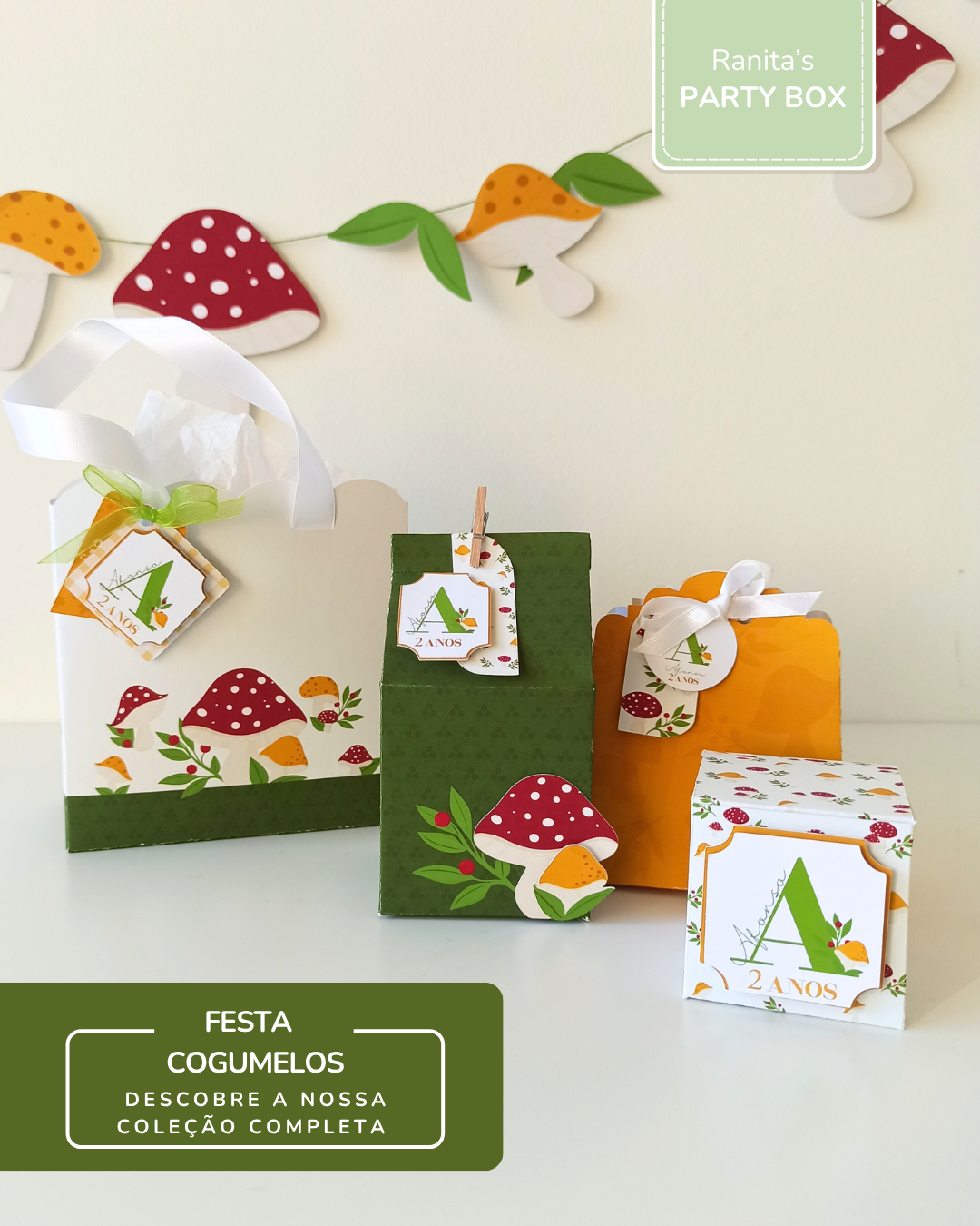 Caixa Milk - Festa Cogumelos 3