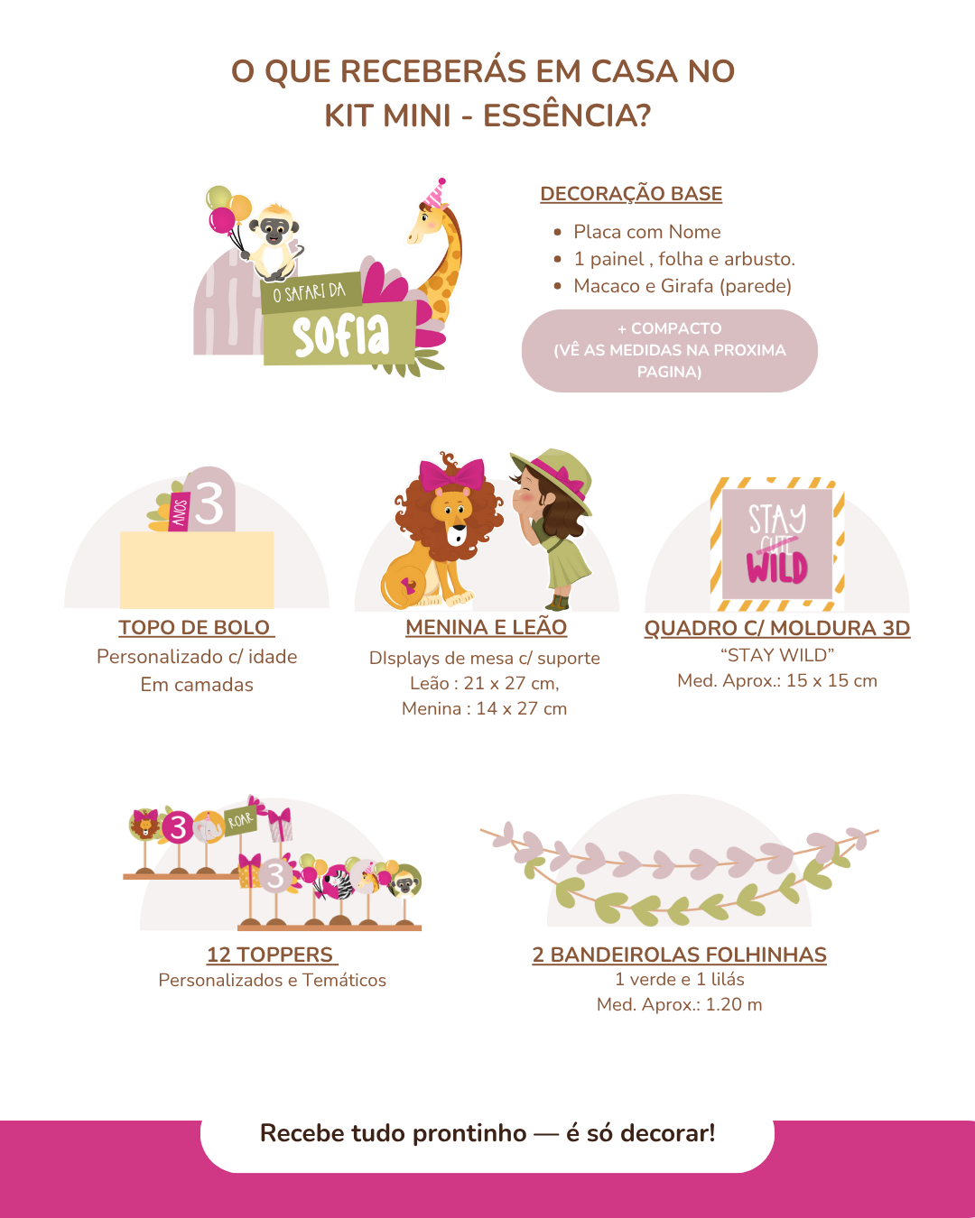 Kit de festa – Safari - Stay Wild Girl 6