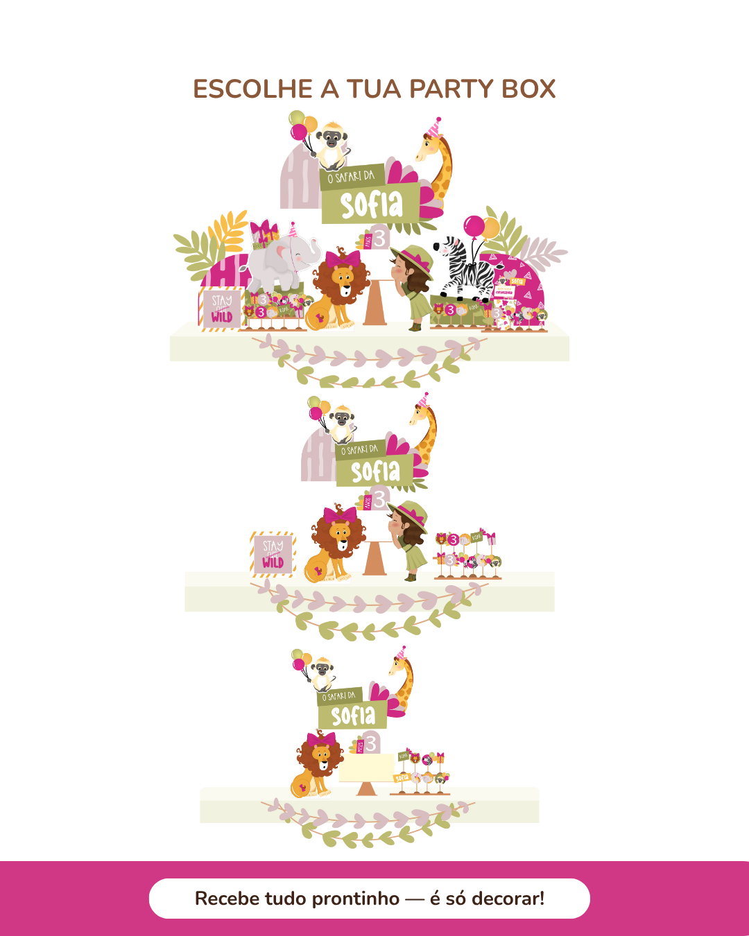 Kit de festa – Safari - Stay Wild Girl 2