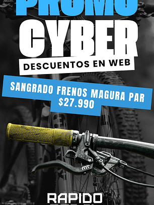 Par Sangrado Frenos Magura