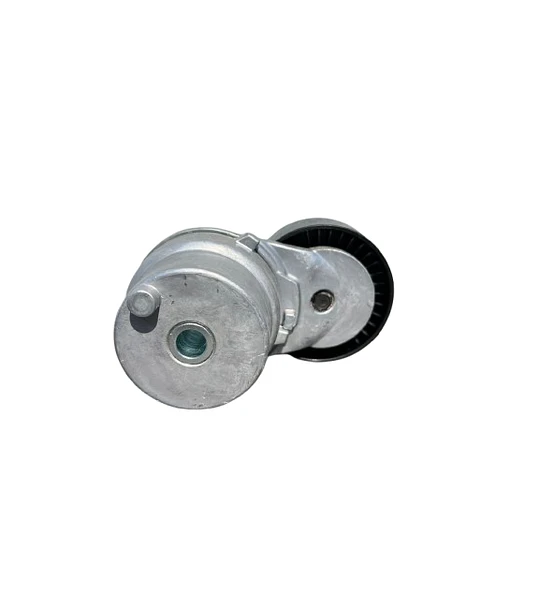 Rodamiento tensor accesorios T60