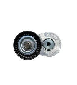 Rodamiento tensor accesorios T60