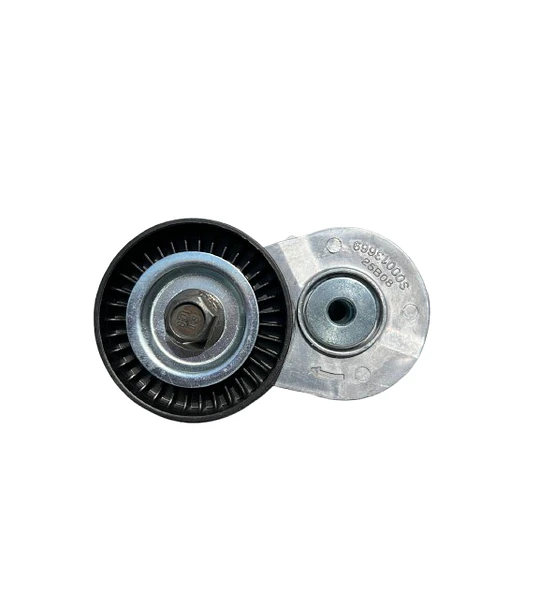 Rodamiento tensor accesorios T60