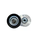 Rodamiento tensor accesorios T60