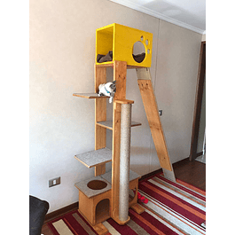 Modelo Sadiki 2.0 sin plano inclinado