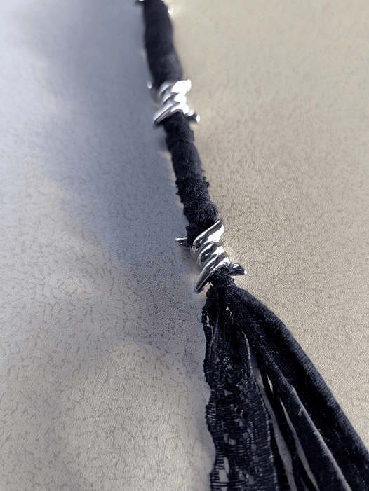 Teréré Arame Farpado  2