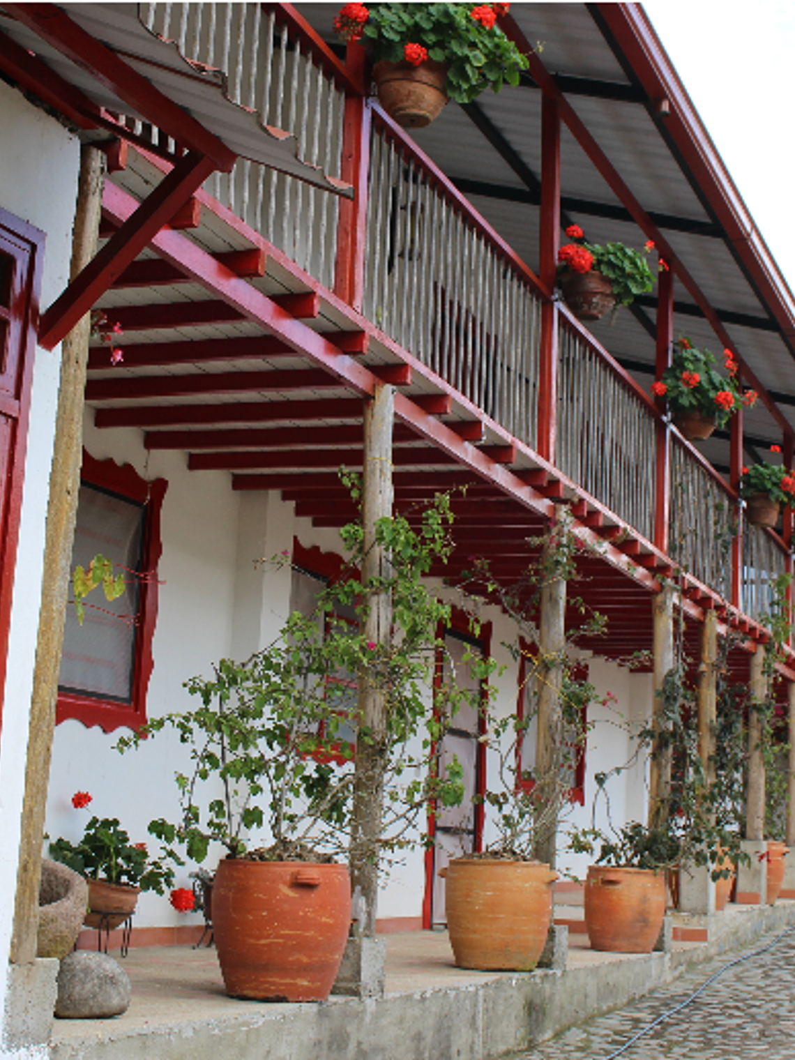 Finca La Samaria – Café en Grano 250 g 2