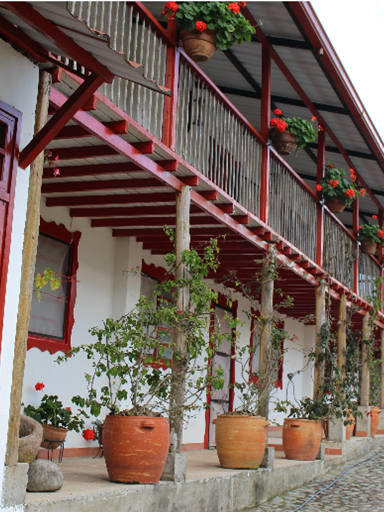 Finca La Samaria – Café en Grano 250 g 2