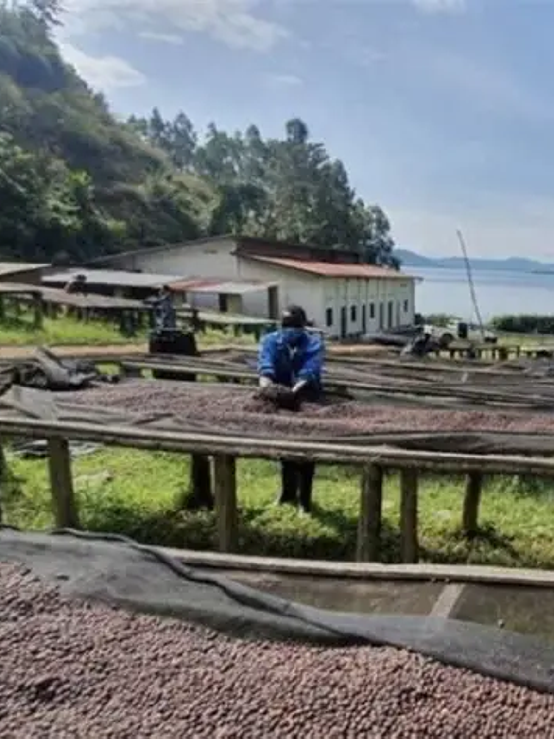 Rwanda Nyamasheke – Café en Grano 250 g 2