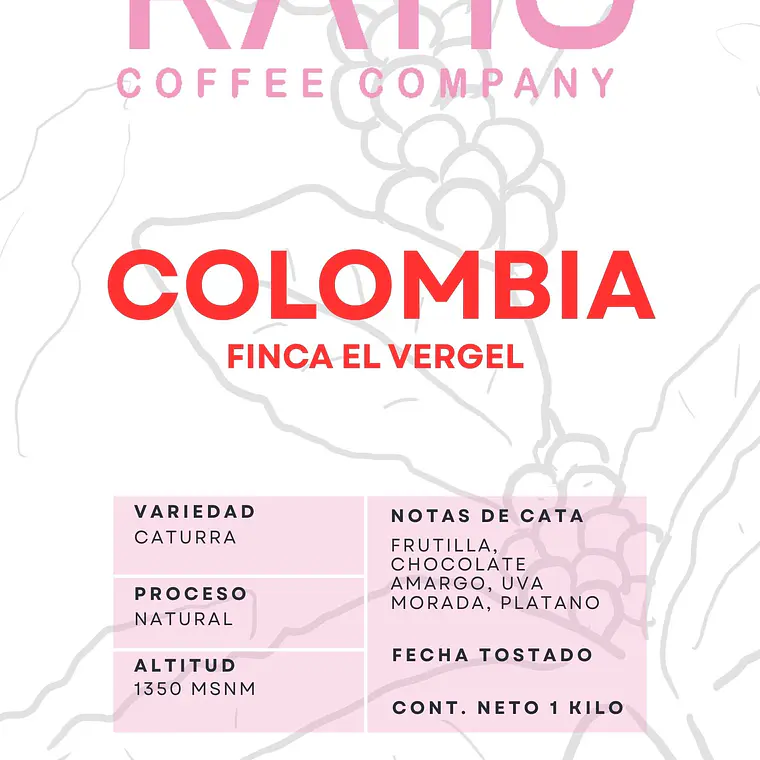 Finca El Vergel | Natural | Café de Especialidad 2
