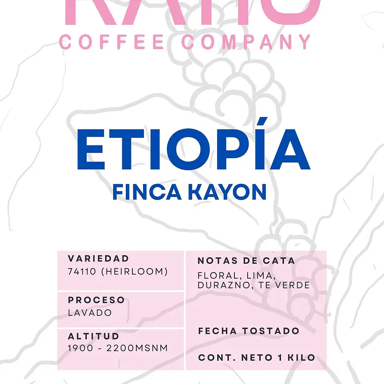 Finca Kayon | Café de Especialidad 2