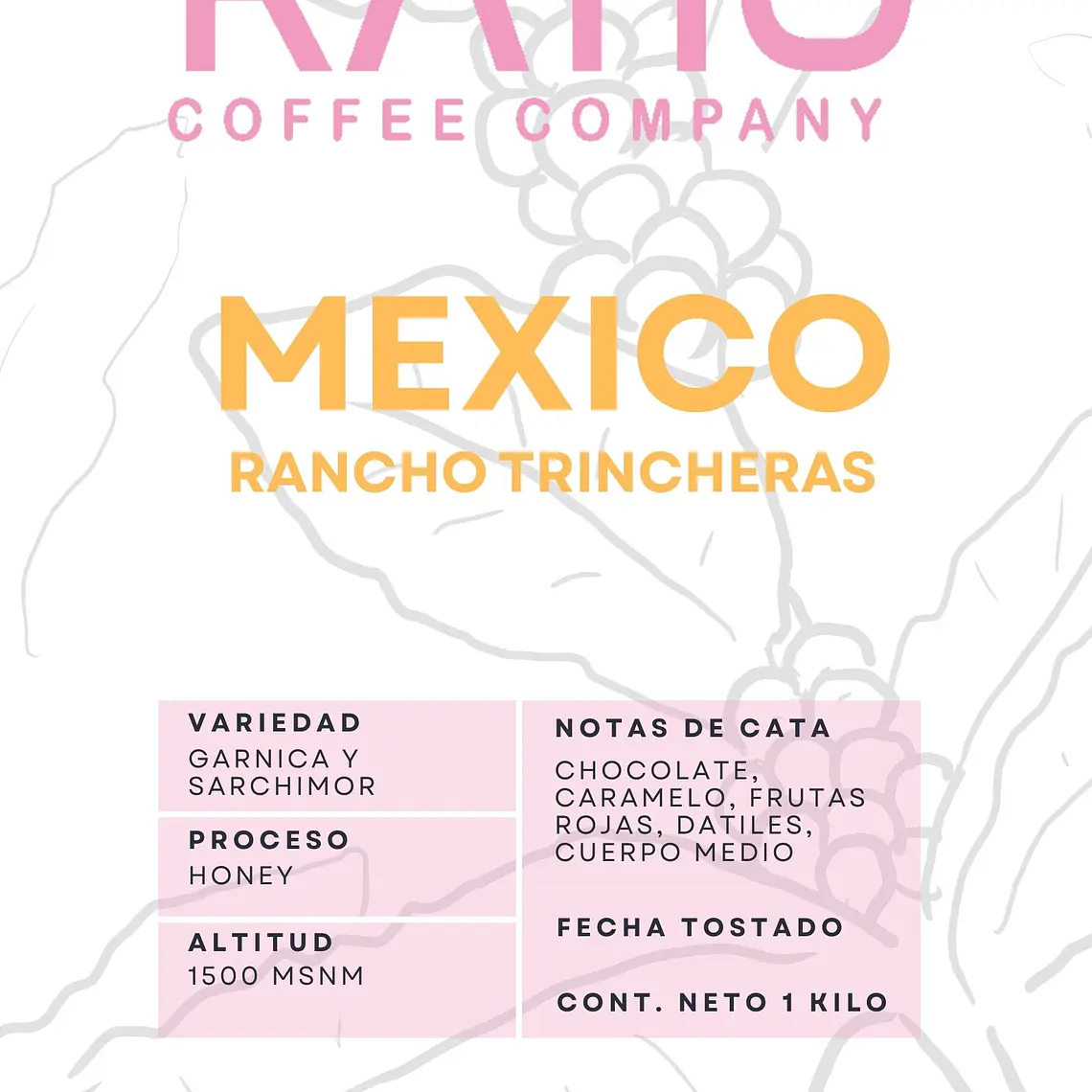 Rancho Trincheras | Café de Especialidad 2