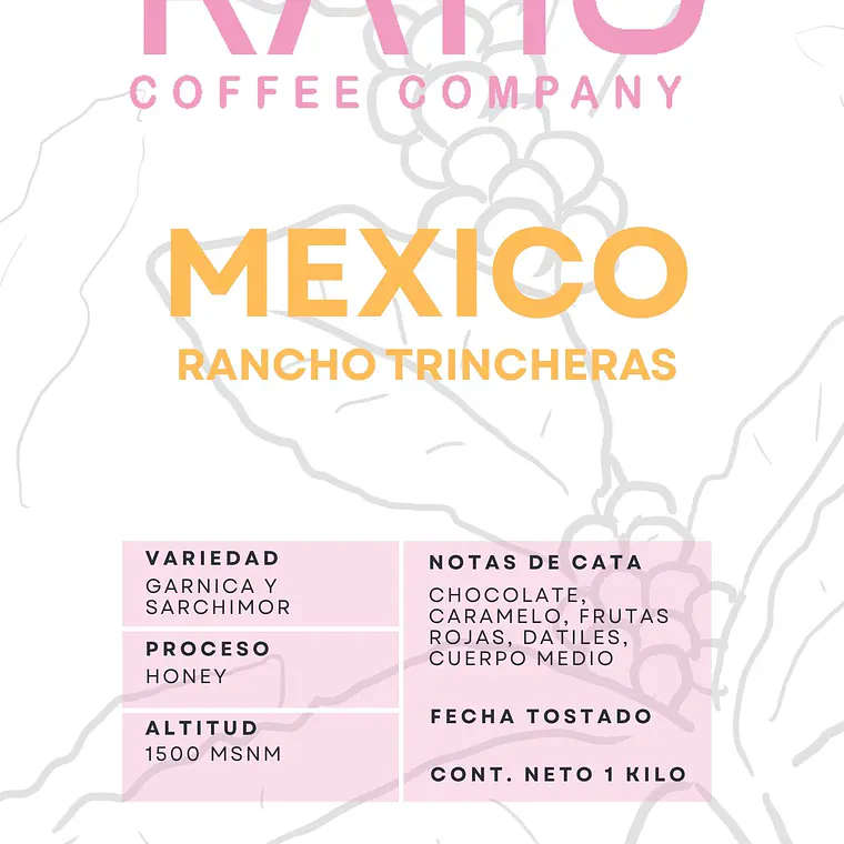 Rancho Trincheras | Café de Especialidad 2