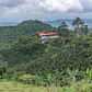 Finca El Vergel | Lavado | Café de Especialidad - Miniatura 1