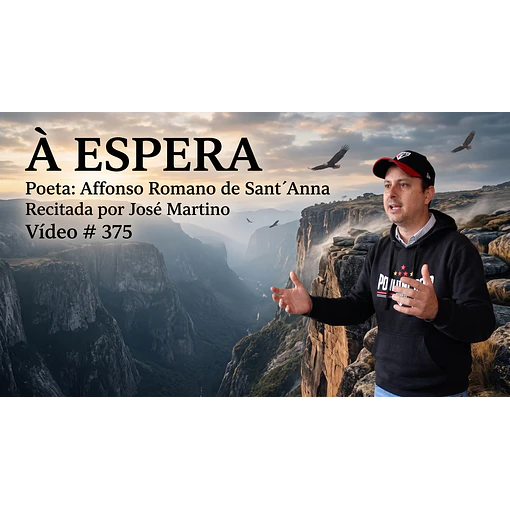 Vídeo # 375 - Poesia: À Espera - Poeta: Affonso Romano de Sant´Anna - Recita: José Martino