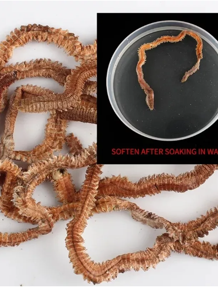 LOMBRIZ DESHIDRATADA  3