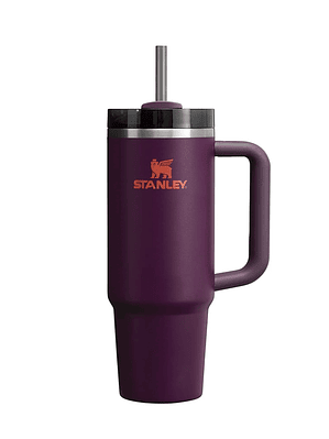 Quencher H2.0 Adventure Plum | 887 ml