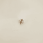 dije mini esfera plateada brillante