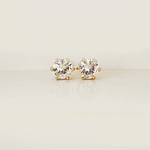 topos circon brillantes grande