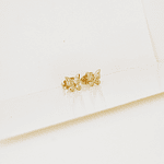 TOPOS MARIPOSA BRILLANTE