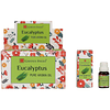 LLEVA 6 CAJAS Aceite Aromático Garden Fresh-  SURTIDO