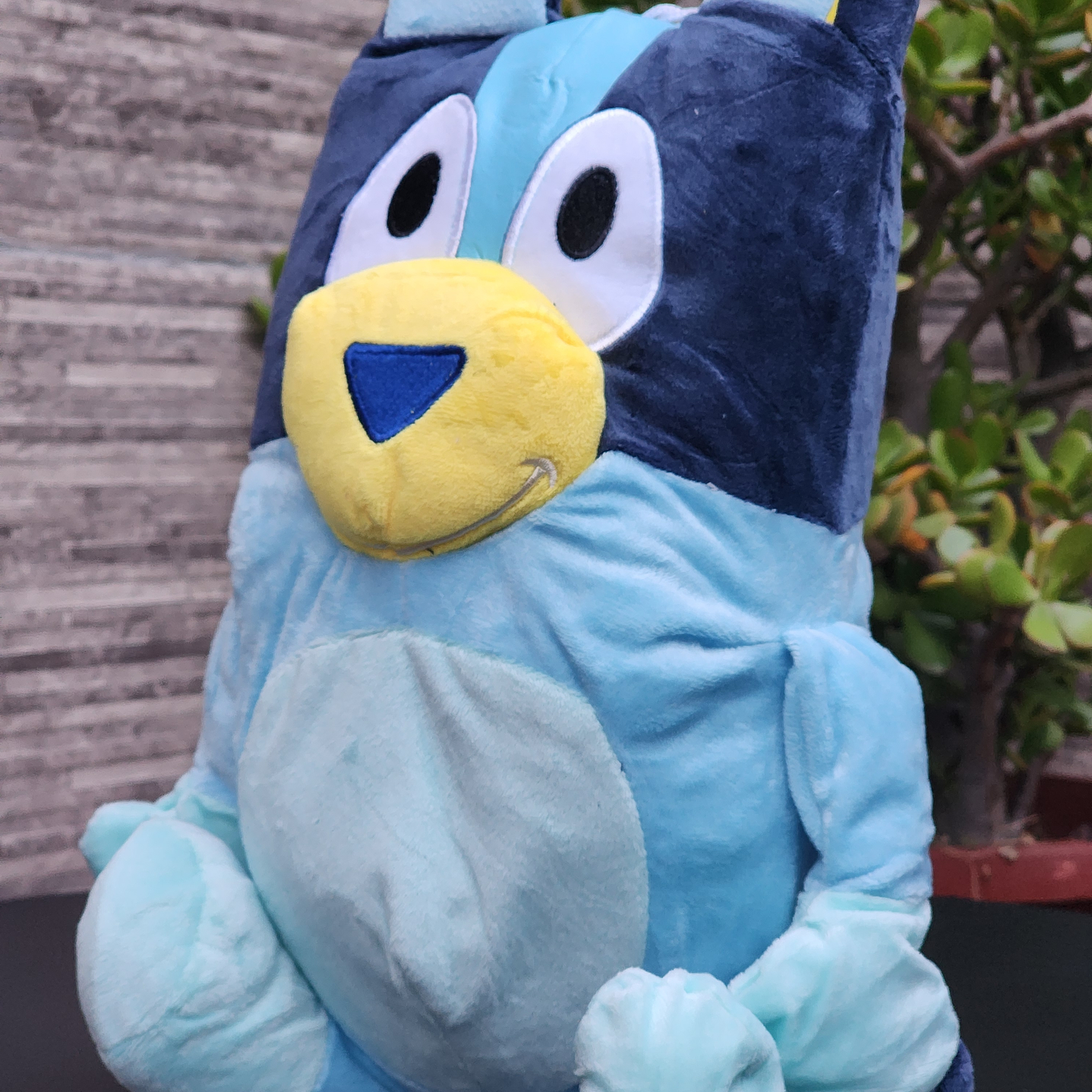 PELUCHE de BLUEY y BINGO 40cm 7