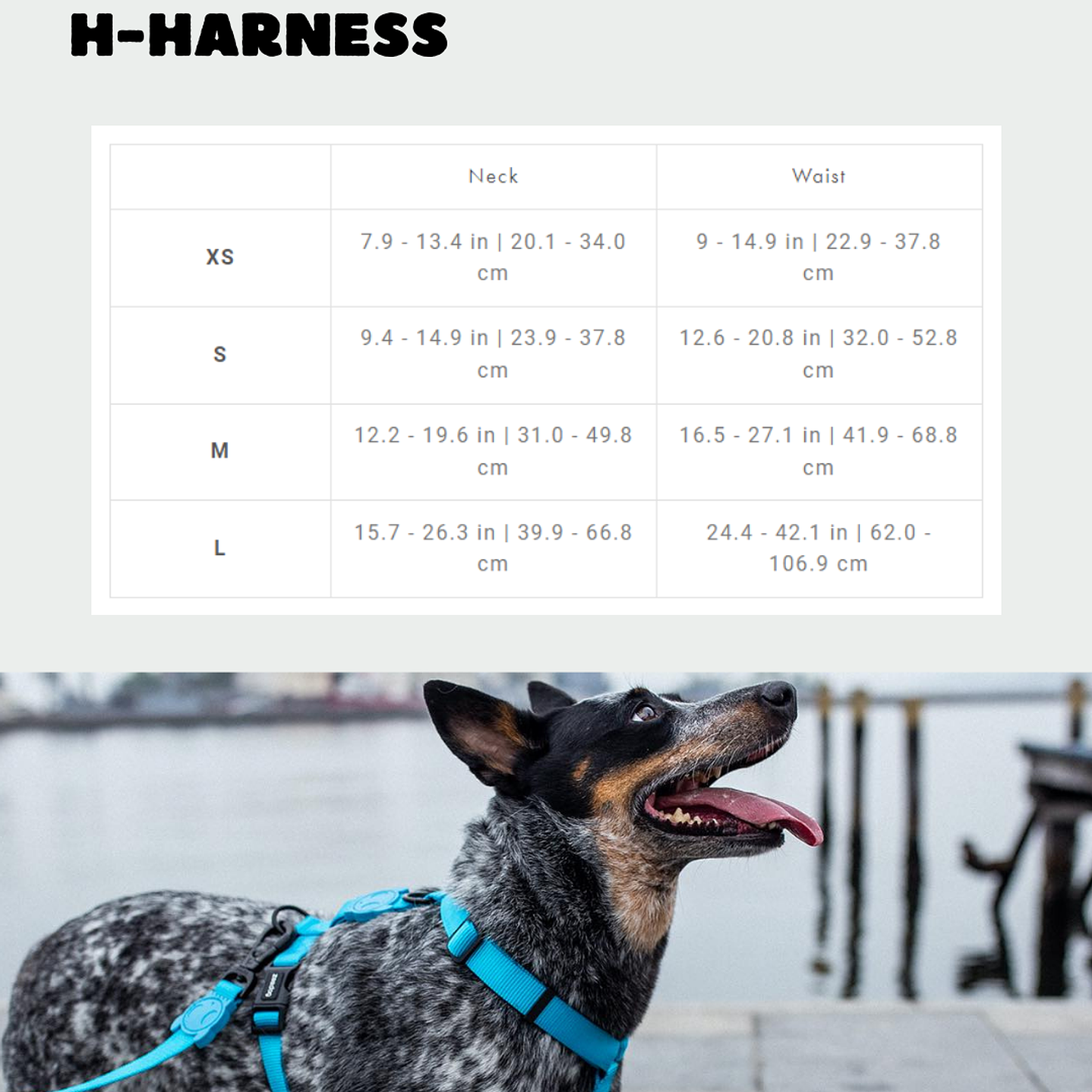 H-Harness Gotham 4