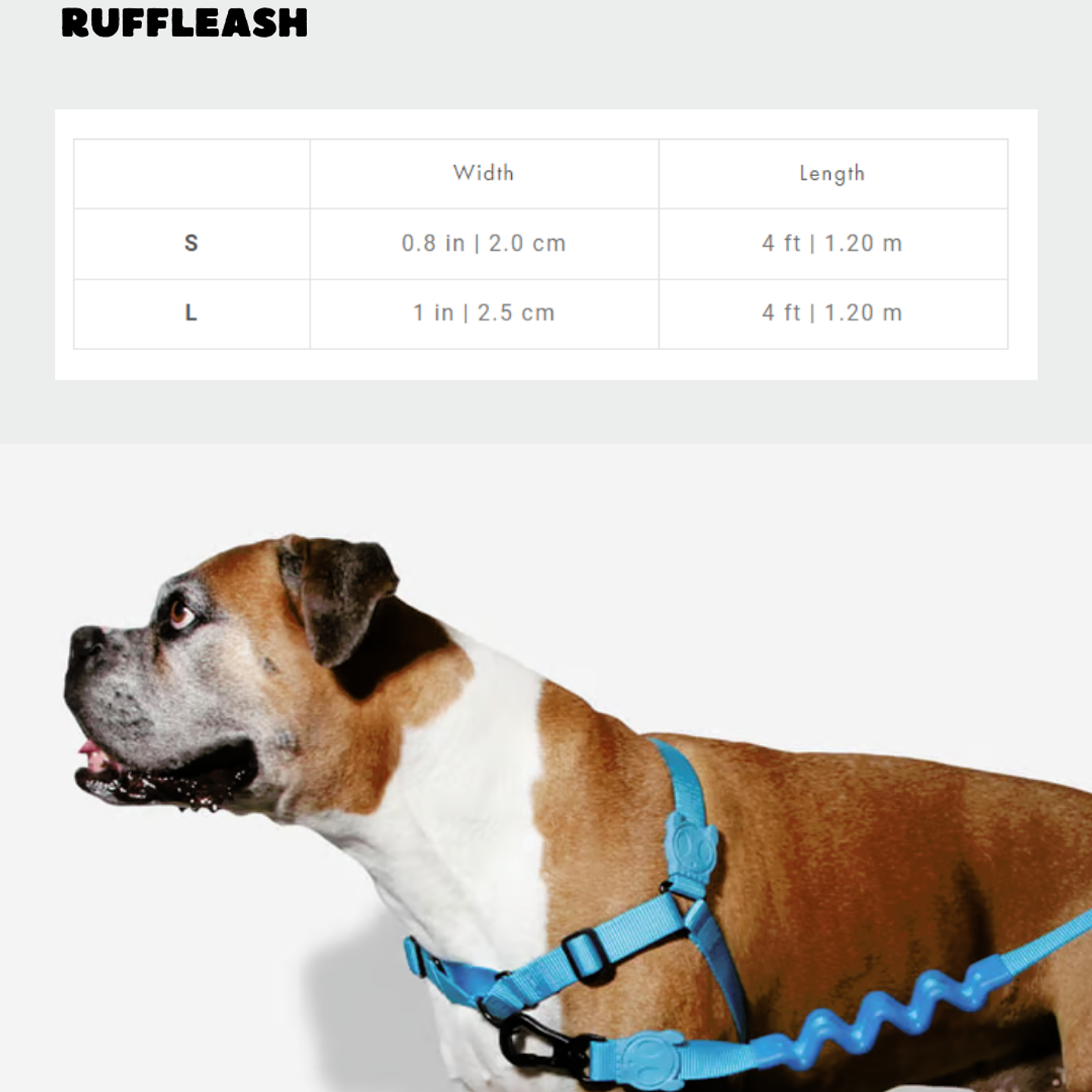 Correa Antitirones Ruffleash NOX 6